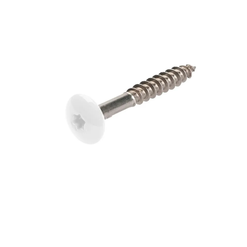 Inox A4 HPL schroeven Wit RAL9010 d12x4,8x38mm 100st